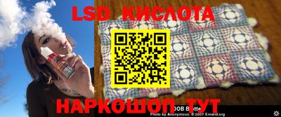 крисы Новозыбков