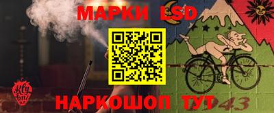 крисы Новодвинск