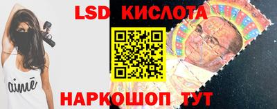 крисы Новозыбков