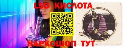 крисы Новодвинск