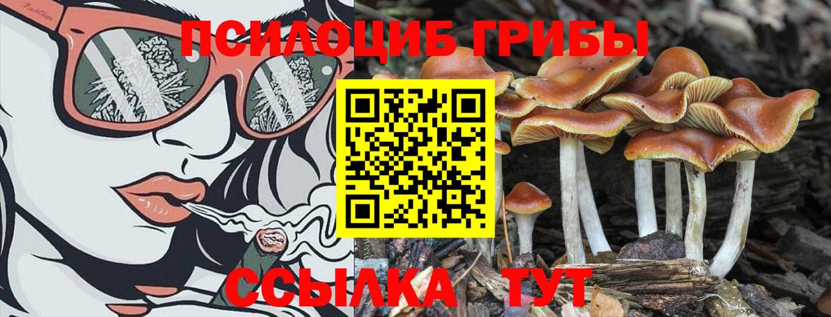 Галлюциногенные грибы мухоморы  Вход с VPN  Псилоцибиновые грибы Cubensis  даркнет сайт  Сердобск 
