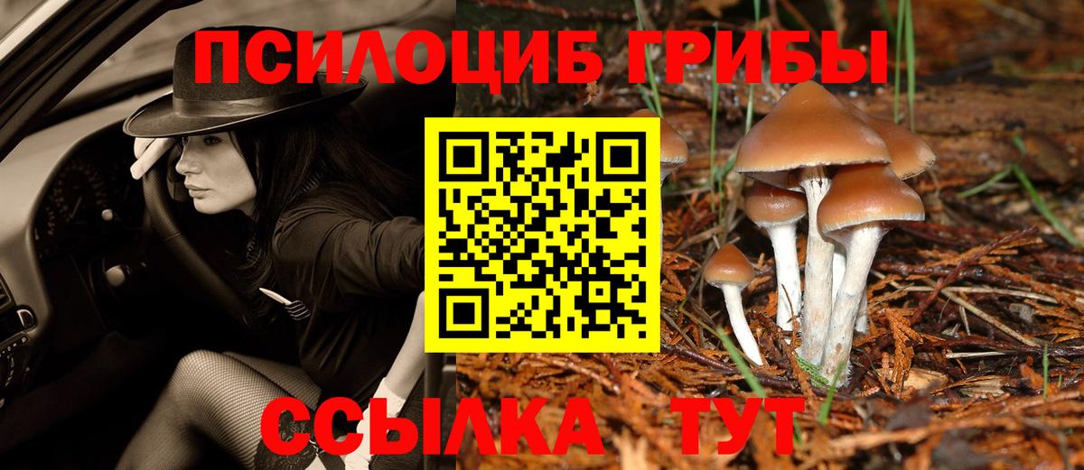 Псилоцибиновые грибы GOLDEN TEACHER Сердобск